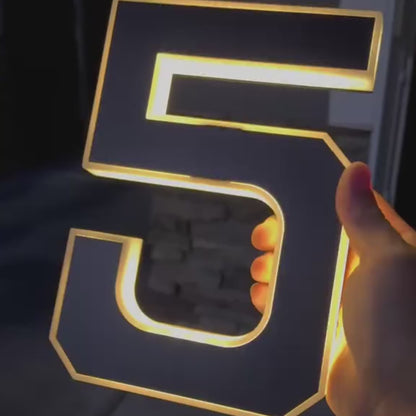 Solar-Illuminated Address Display